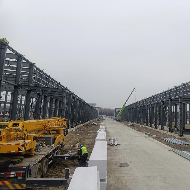 Prefabricated Light Frame Multi Story Prefab Apartments Construction Projects Steel Structure Multi-Story Steel Structure Factory Building for Mixed-Use Industr