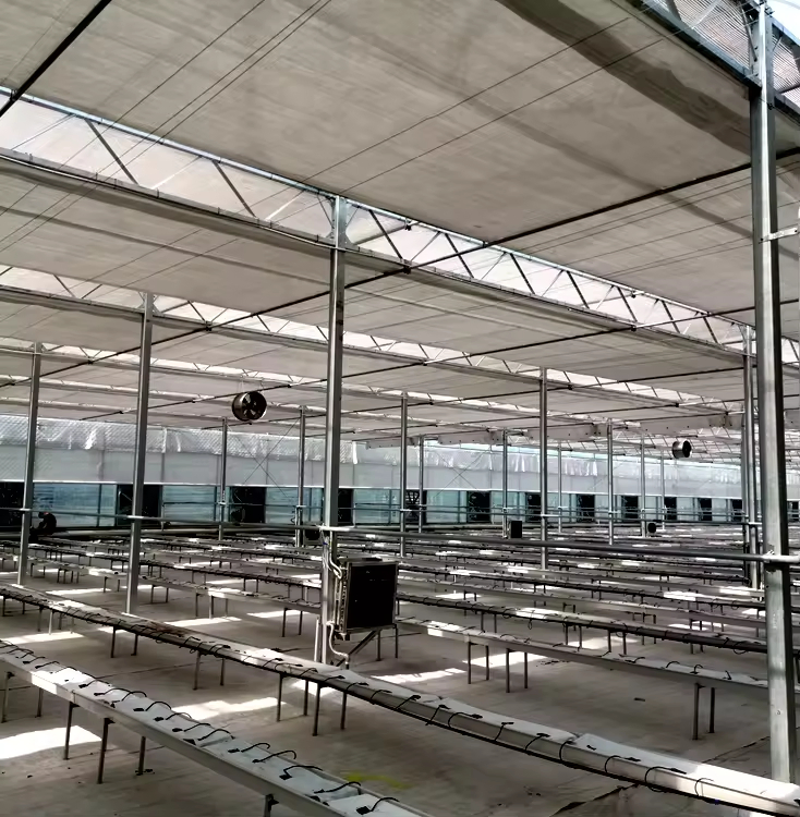 Modular Greenhouse for Efficient Use of Agricultural Land