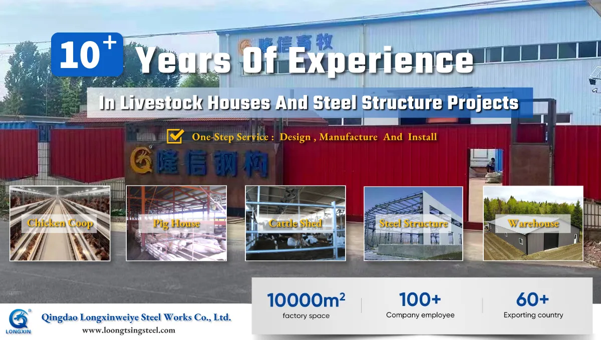 Steel Structure Building