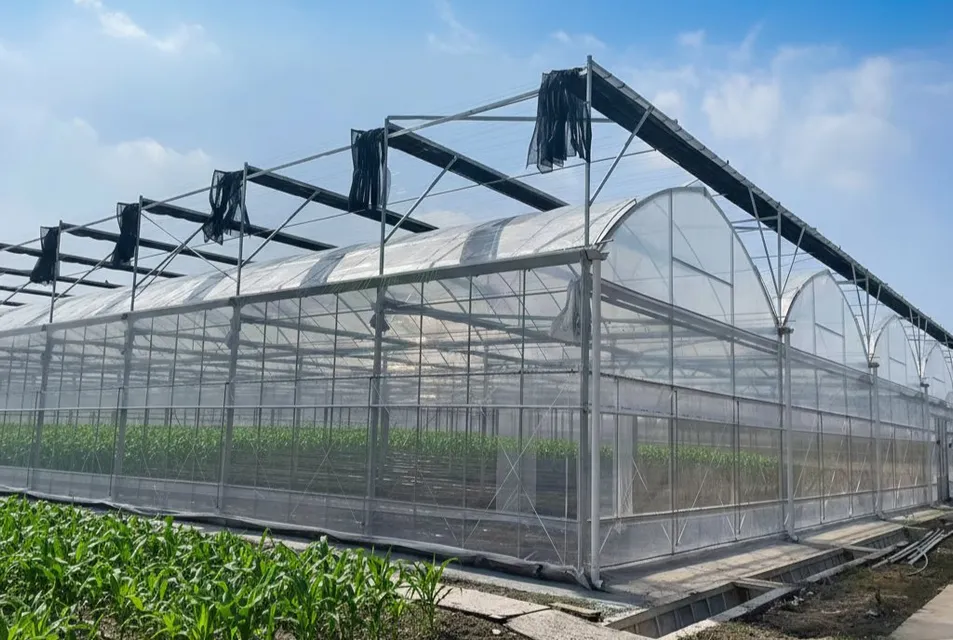 Greenhouse Features