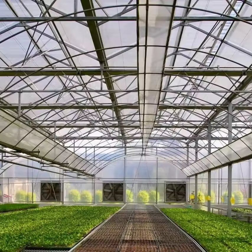 Modular Greenhouse for Efficient Use of Agricultural Land