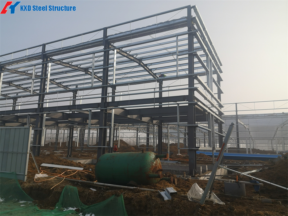 Prefabricated Large Span Steel Structure Shopping and Super Market Building