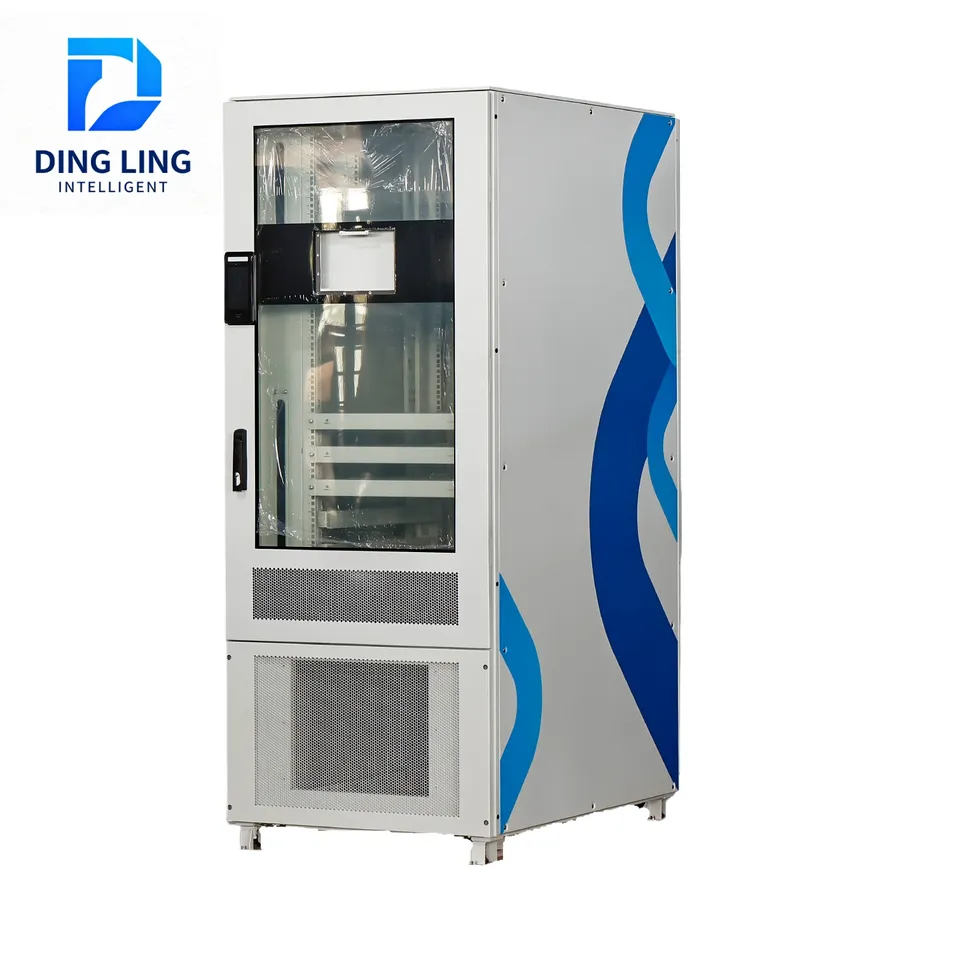 Server Cabinet Details