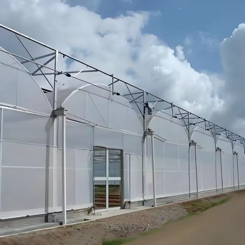 Modular Greenhouse for Efficient Use of Agricultural Land