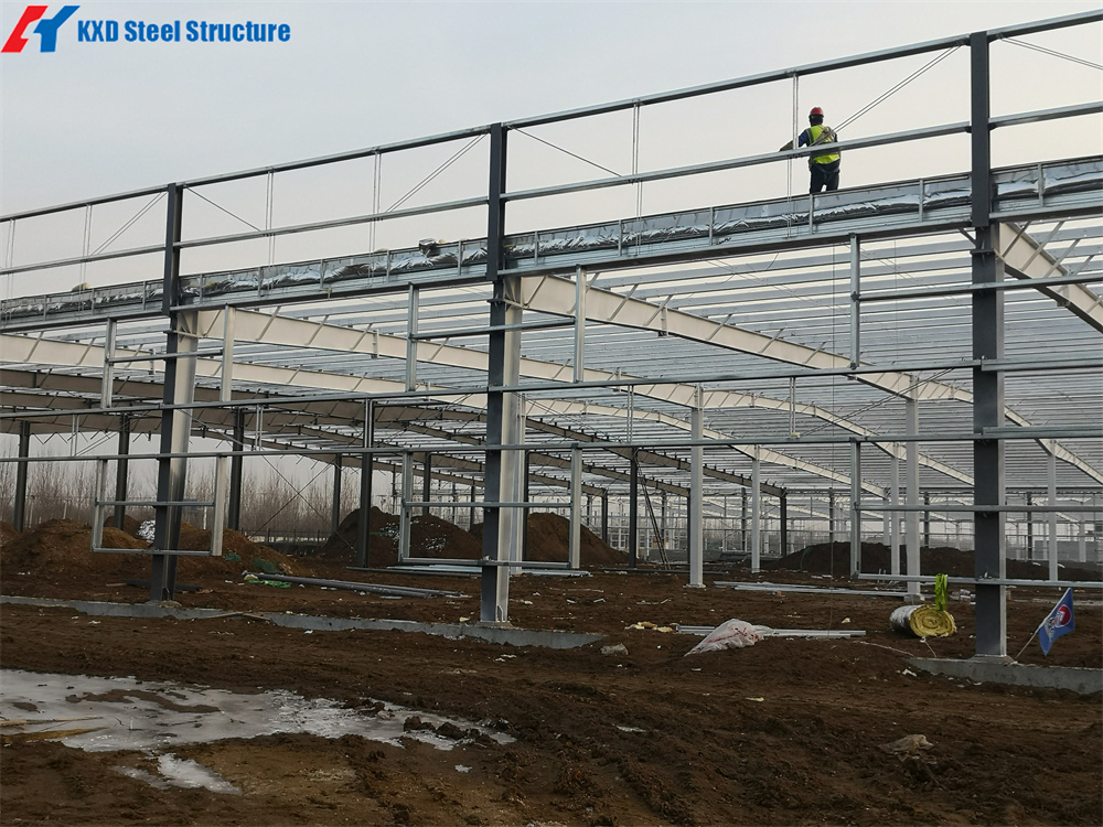 Prefabricated Large Span Steel Structure Shopping and Super Market Building