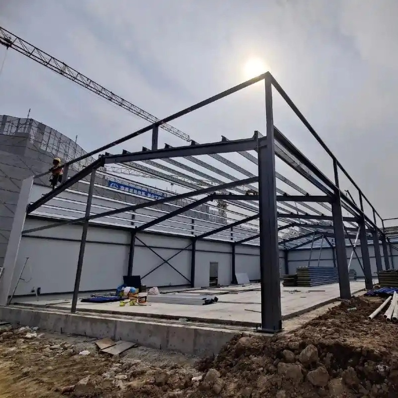 Prefabricated Light Frame Multi Story Prefab Apartments Construction Projects Steel Structure Multi-Story Steel Structure Factory Building for Mixed-Use Industr