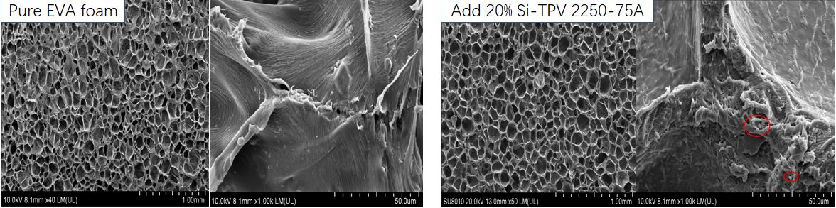 A plasticizer-free EVA foaming modifier offering long-term skin-friendly softness, stain resistance, and stable performance without precipitation.