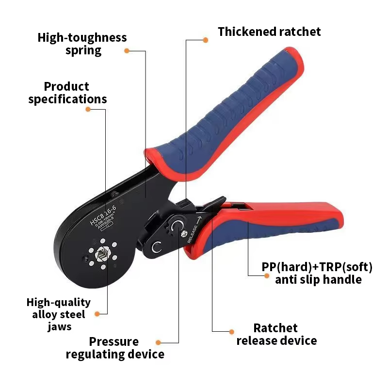 Main-05.jpg