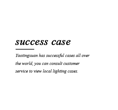 Success Story 2