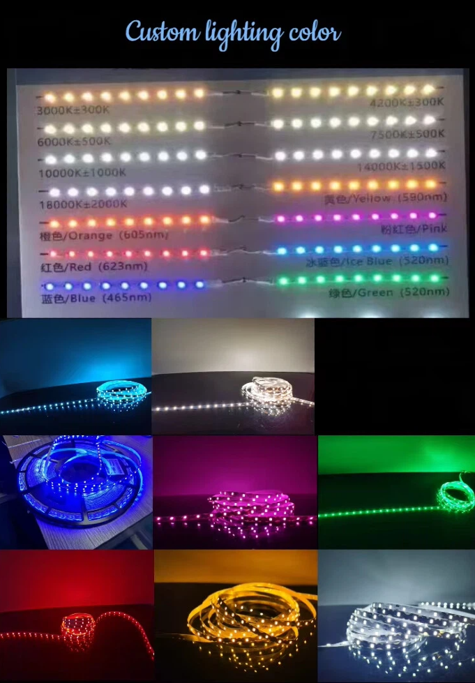 Product Display 6