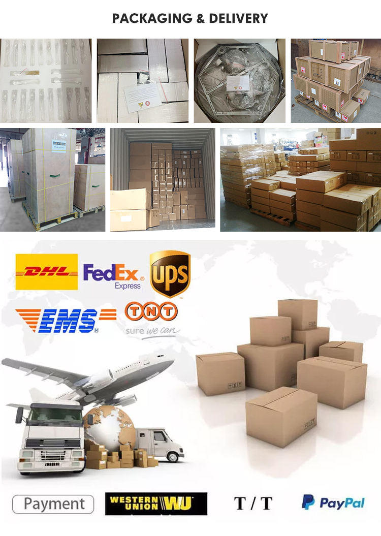 Payment & Shipping Details