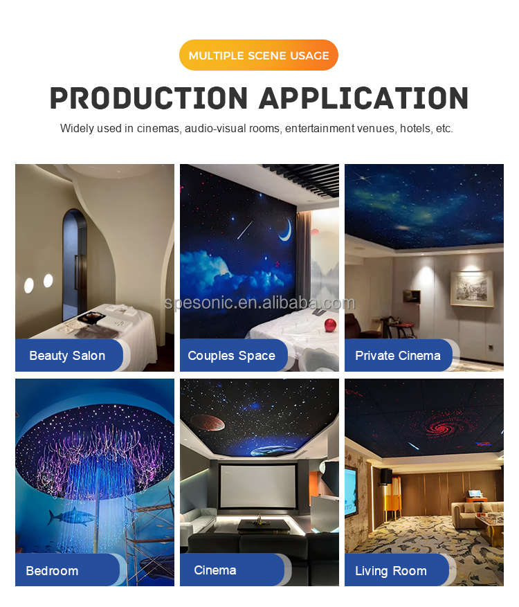 Starry Sky Ceiling Application