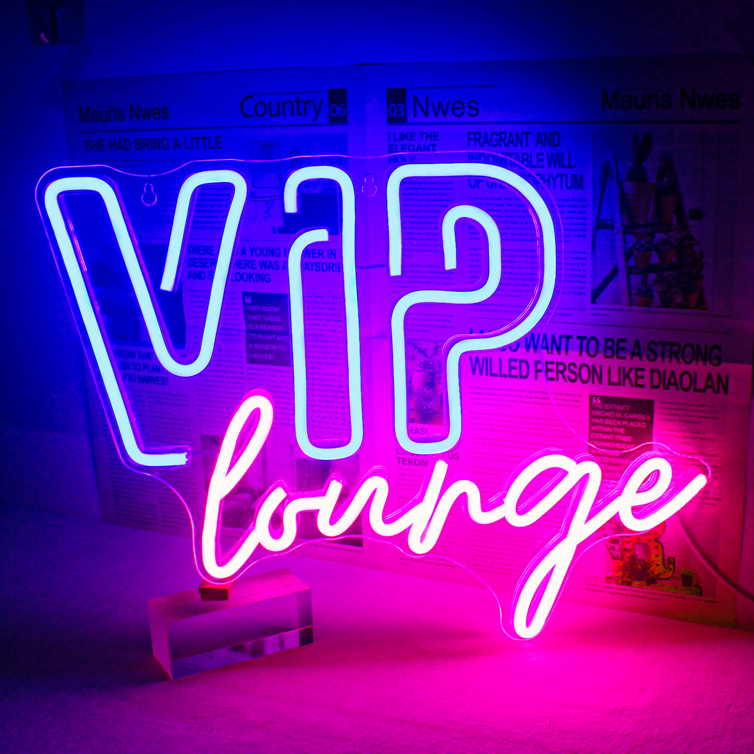Hot VIP Lounge LED Neon Sign Motif Lights for Club Bar Restaurant Business Wall Decor Landscape Application Neon LED Light