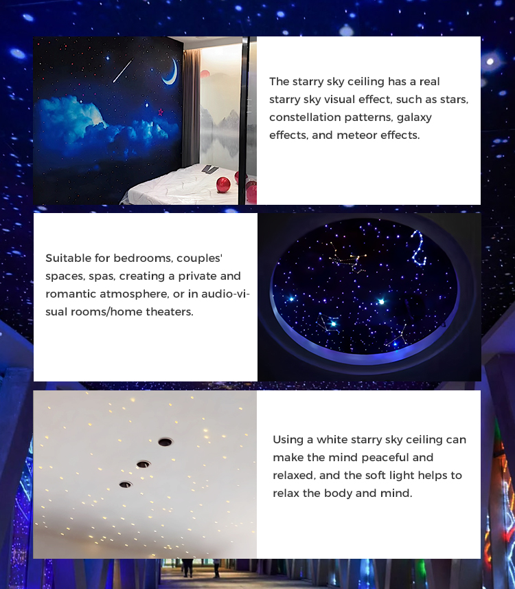Starry Sky Ceiling Detail 2