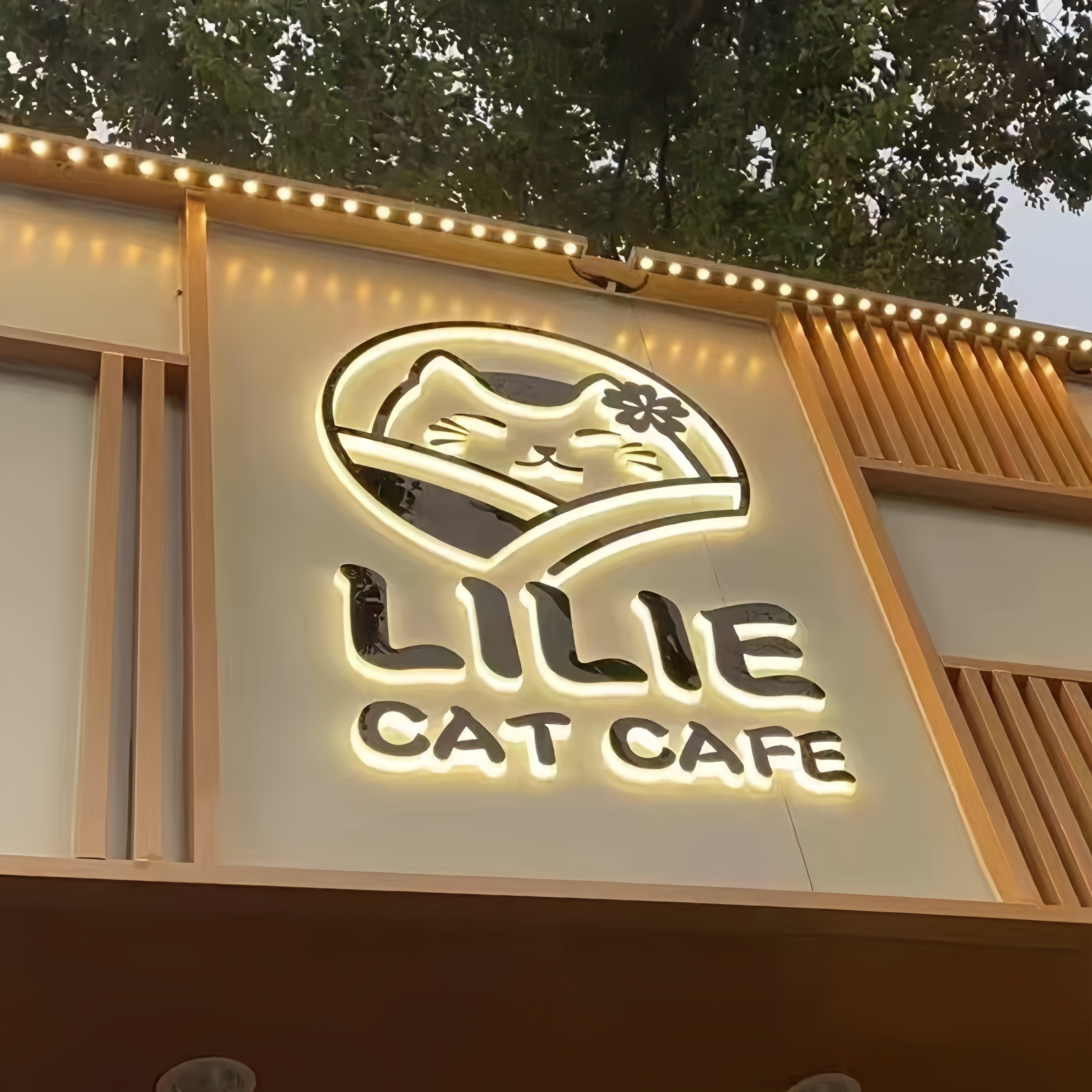Custom Business Backlit Aluminum Sign 3D Glowing Letter Sign for Hotel Reception Office Lobby Lighting
