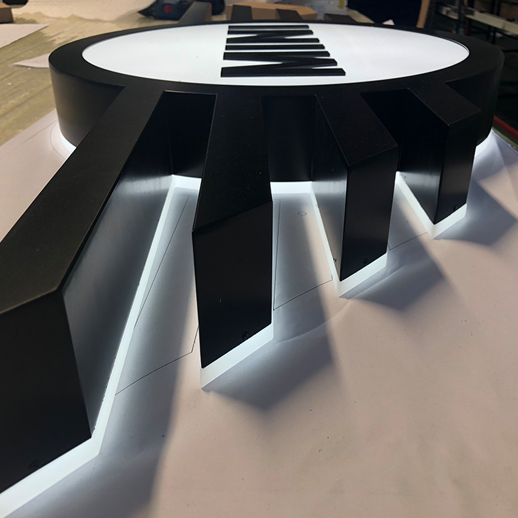 Custom Thin Metal Frame Edge Lit Acrylic LED Letter Indoor Luxury Spa Boutique Reception Wall Logo Signage