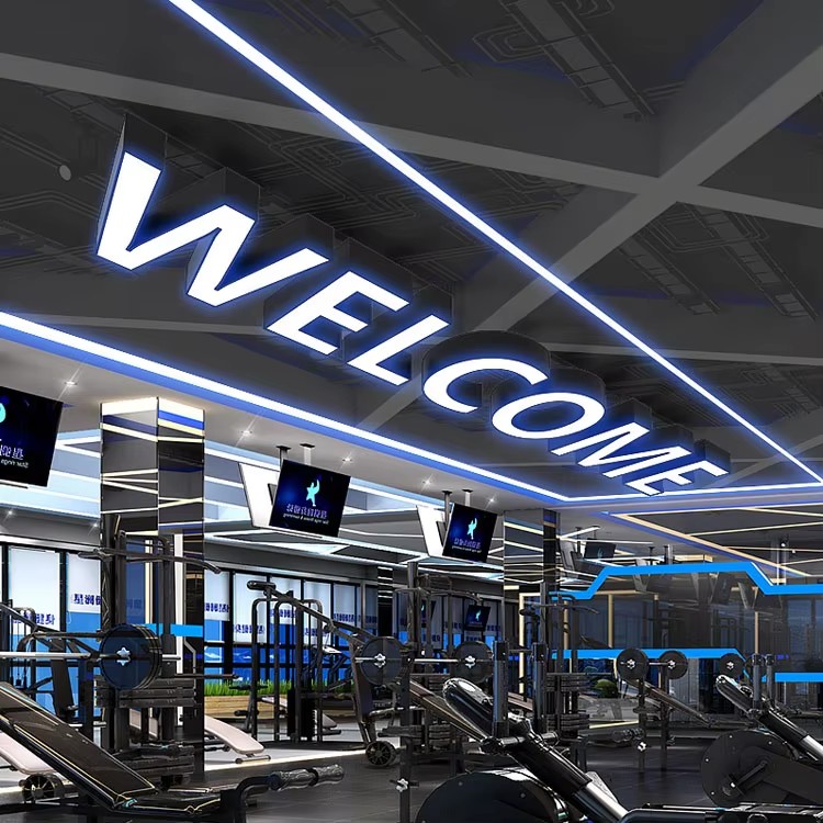 Custom Alphabet Lighting Iron Acrylic LED Channel Logo Letters Middle Size High Brightness Pendant Light For Yoga Room Gym