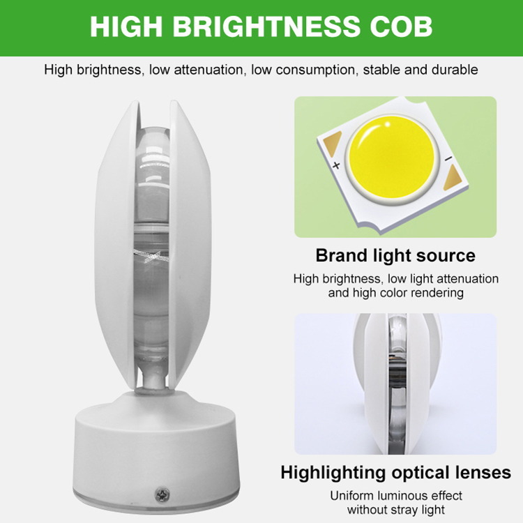 LED Outdoor Waterproof Energy Saving Aluminum Alloy Corridor Light Surface Mounted with 3-Year Warranty for Hotel KTV Porch Use