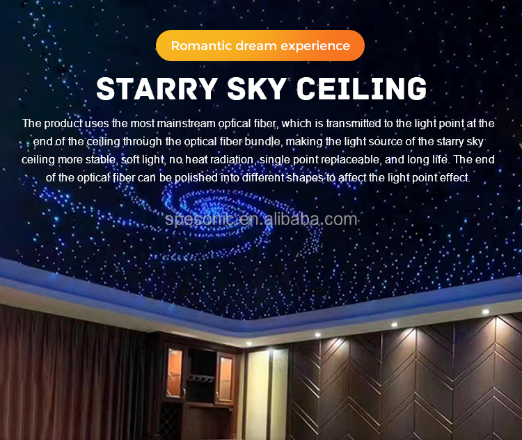 Starry Sky Ceiling Detail 1