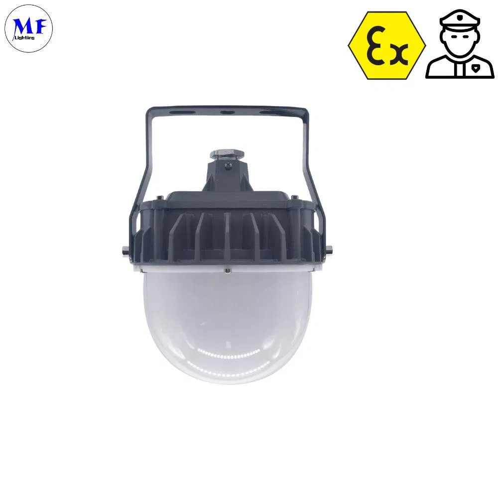 20W 40W 60W LED Explosion Proof Light IP66 Metal LED Lamp High Bay Area Light for Oil Gas LNG Heavy Industrials Station Hanging Wall Mounted Work Light