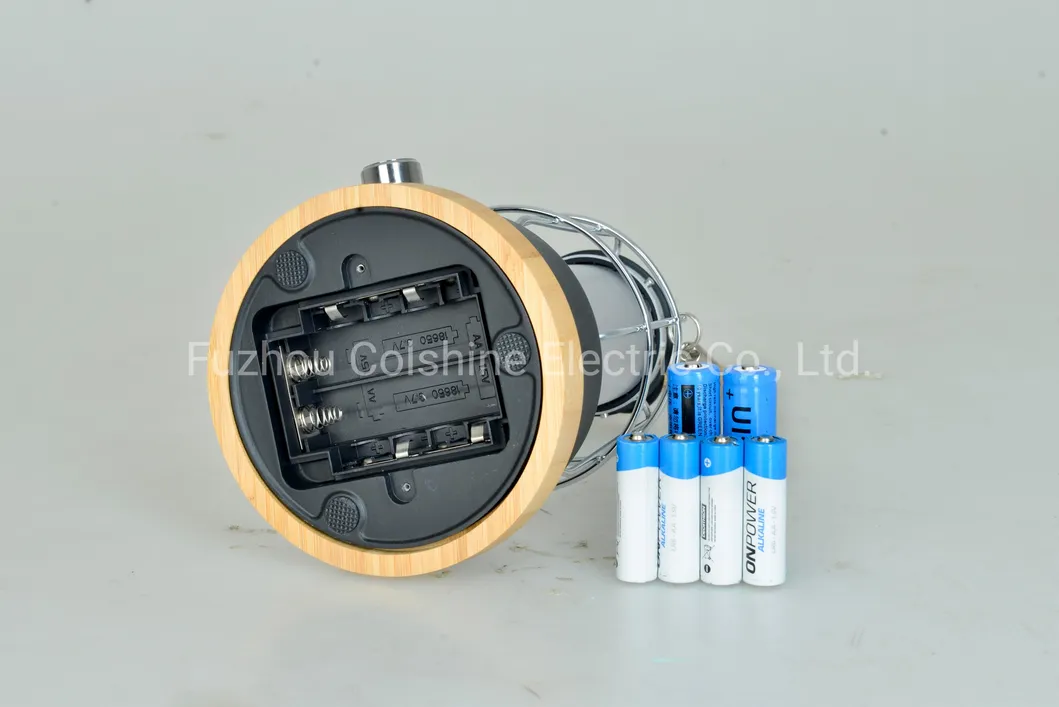 Battery Compartment Detail