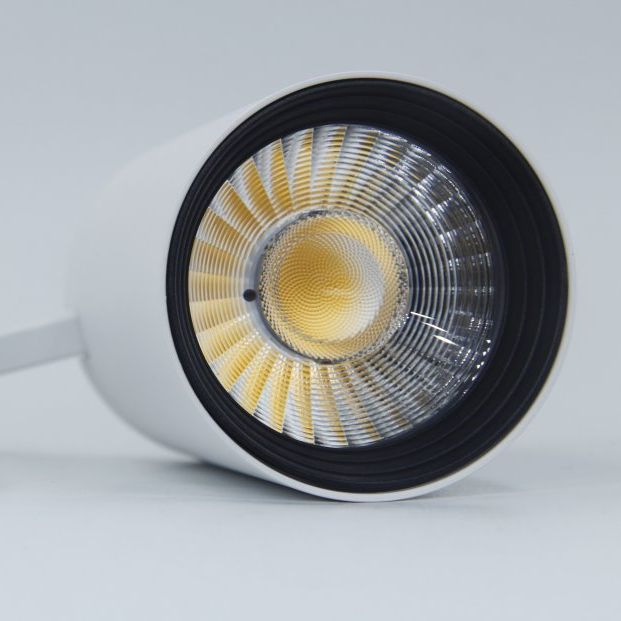 Commercial/ Track Spotlight / 40 Series LED Lighting / Tsf40-100 9W Track Downlight