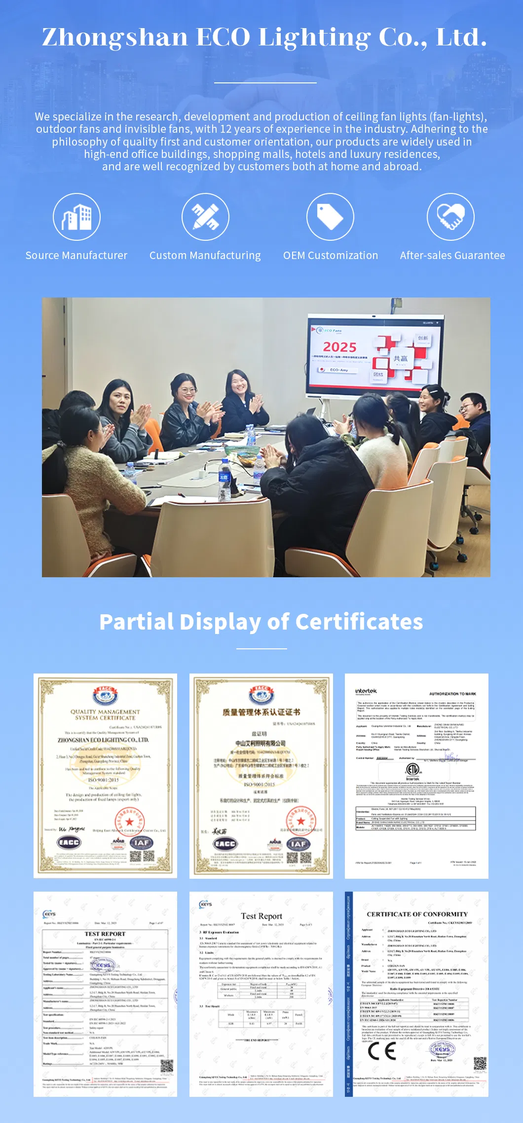 Ceiling Fan Detail 2