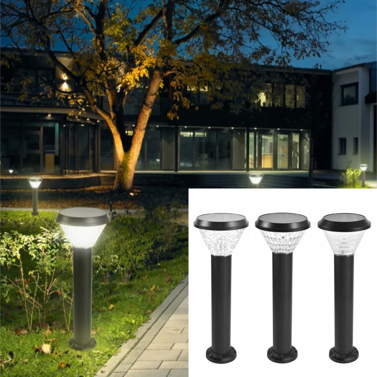 Eco-Friendly Solar LED Path Lights for Garden Decoration