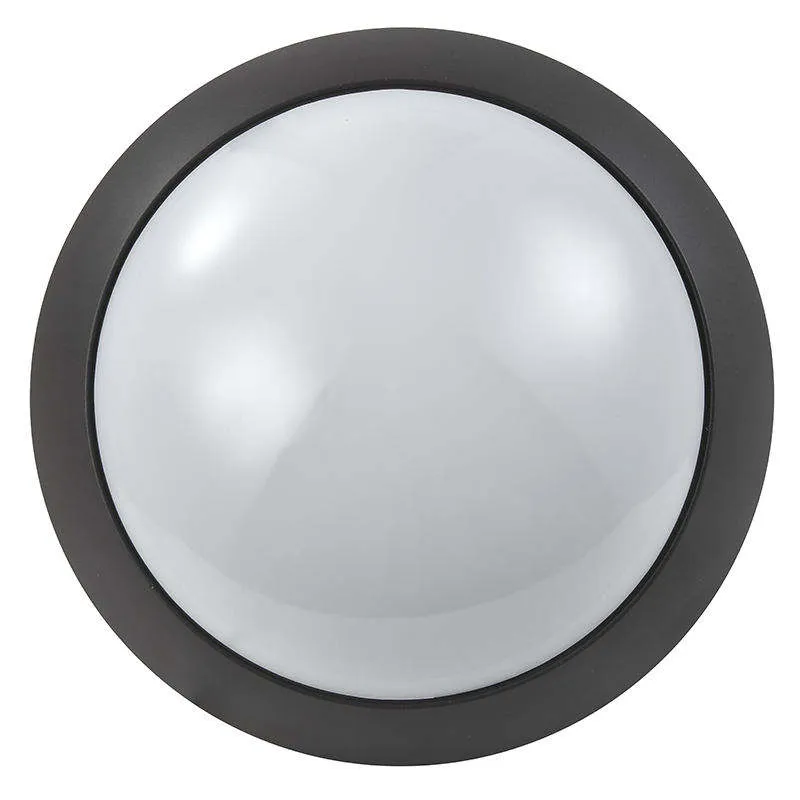 Black LED Ceiling Lamp