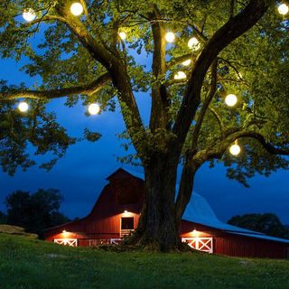 220V 110V Outdoor LED Garden Lawn Light 3W Landscape Lamp Spike IP66 Waterproof Path Bulbs Warm White Green Spotlights