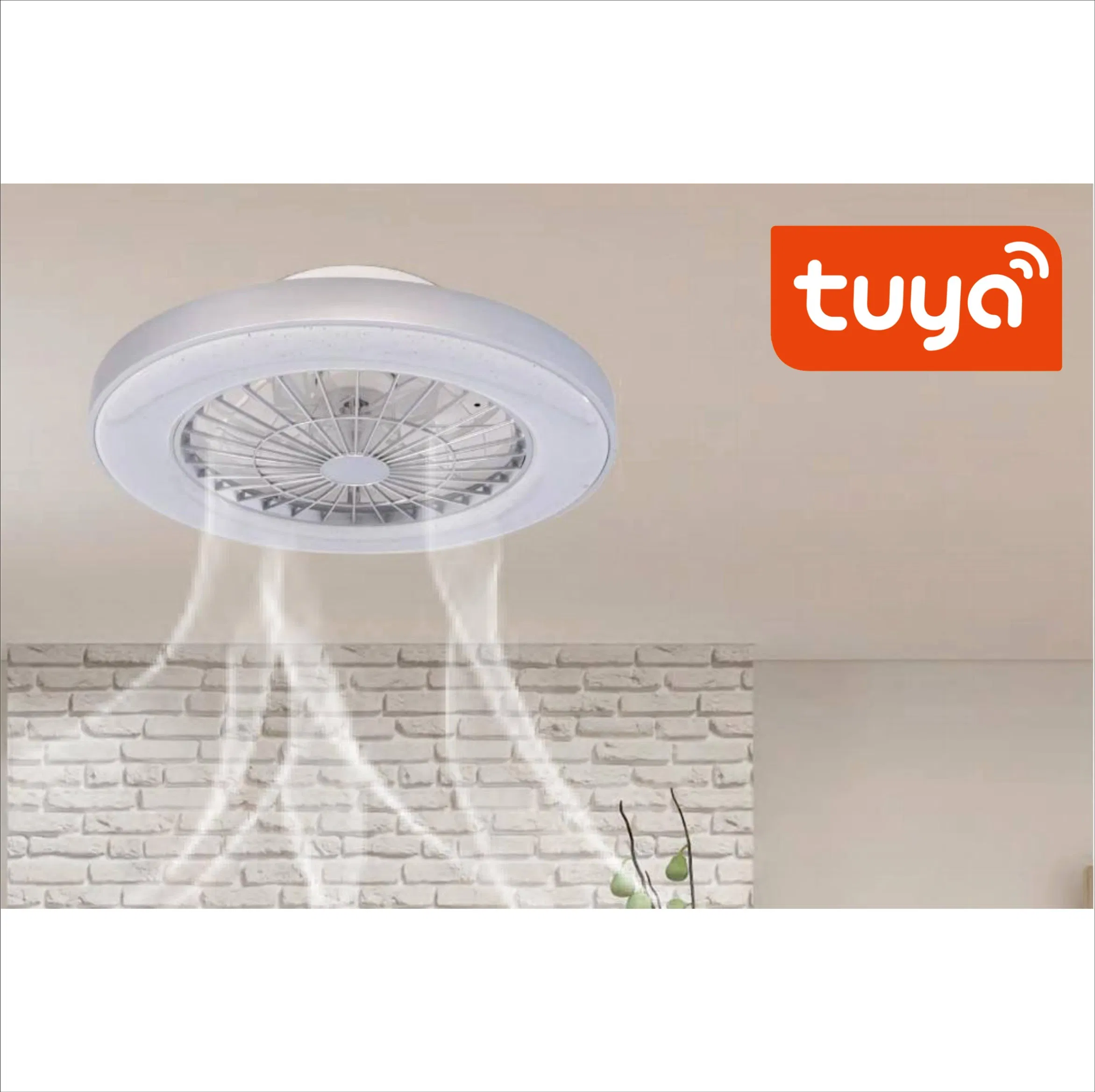 Hisoon Lighting Smart Simple Livingroom Home Decoration LED Ceiling Fan Lamp