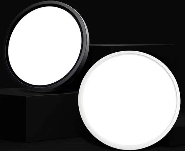 Round Motion Sensor Control Flush Mount Ceiling Light Voice Control Light LED Ceiling Light