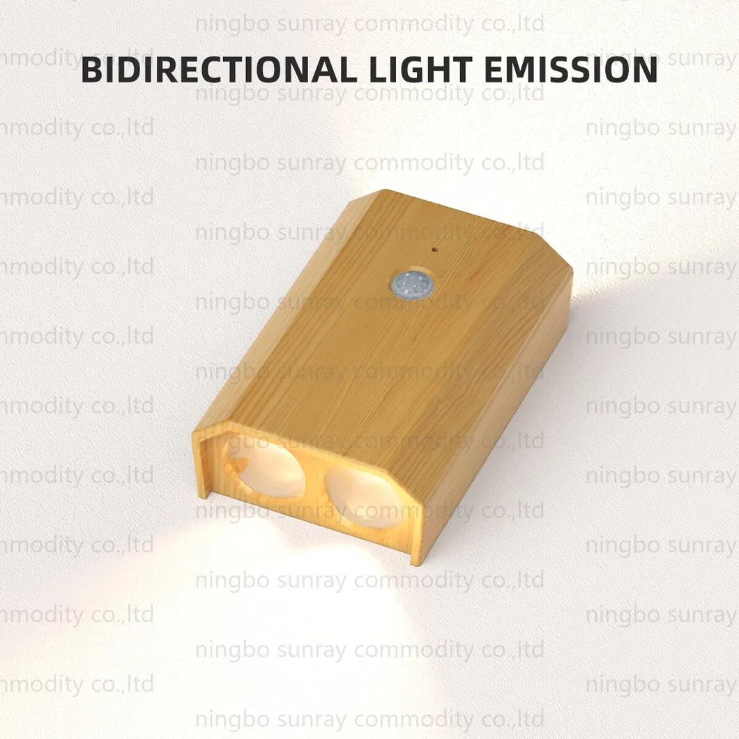 LED Sensor Light 1