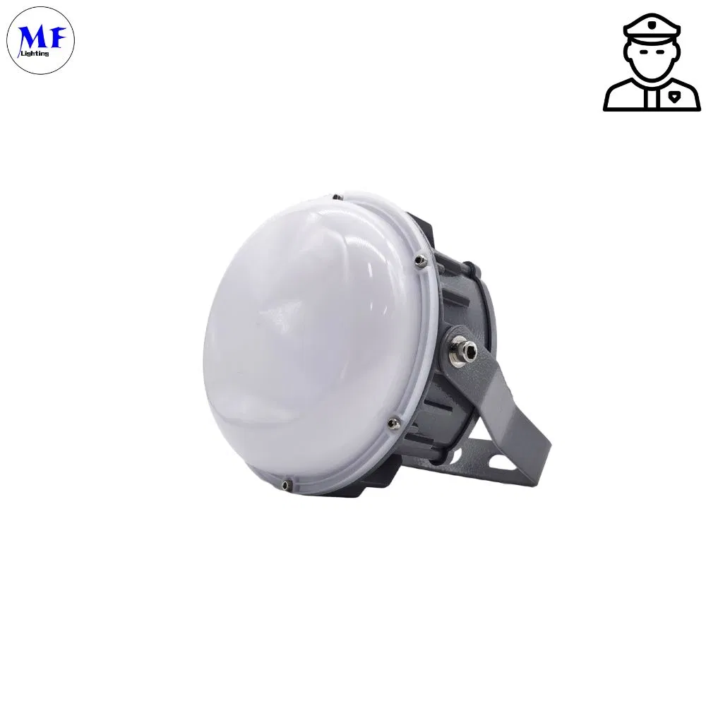 20W 40W 60W LED Explosion Proof Light IP66 Metal LED Lamp High Bay Area Light for Oil Gas LNG Heavy Industrials Station Hanging Wall Mounted Work Light