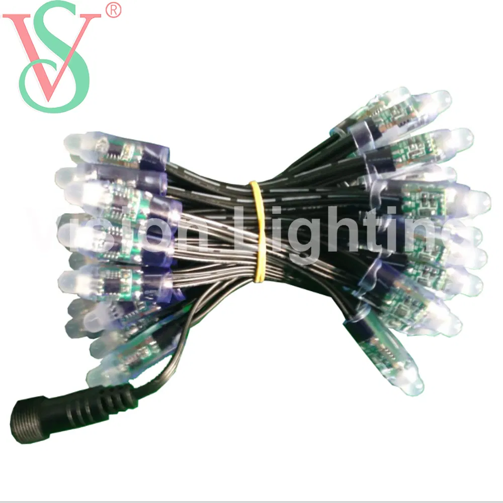 Christmas Decoration 12V Programmableled Module Pixel Ws2811 RGB String Light