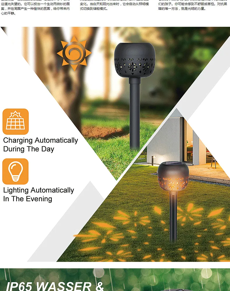 Solar Flame Light Application 2