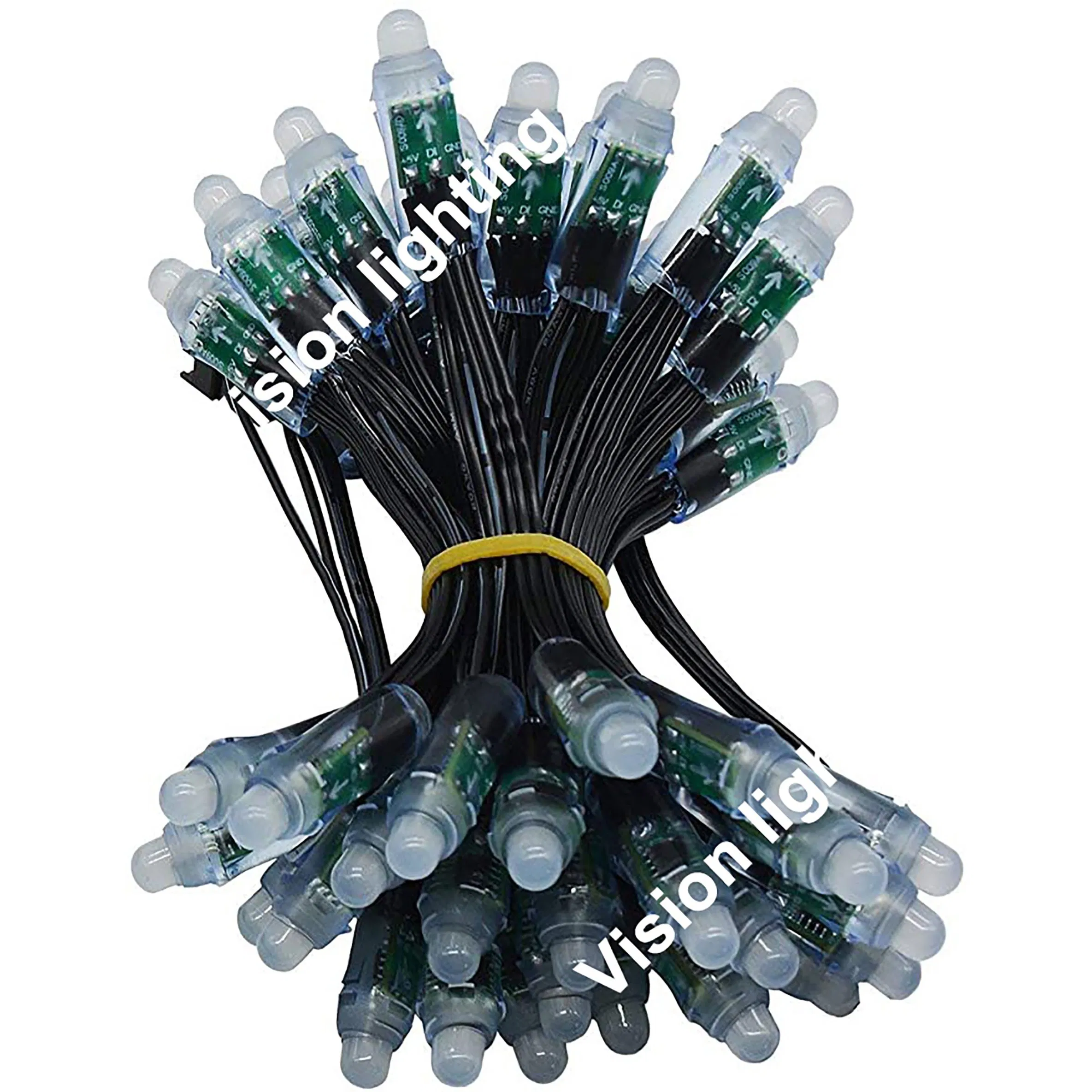 Christmas Decoration 12V Programmableled Module Pixel Ws2811 RGB String Light