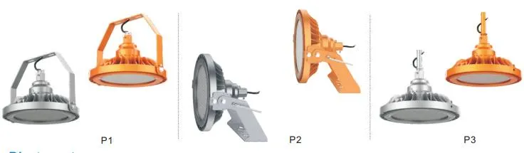 Explosion Proof Light Detail 2