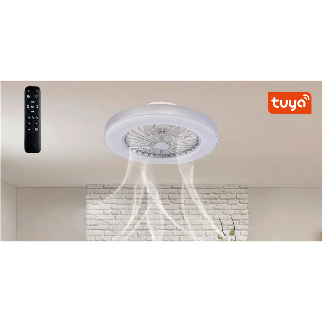 Smart Home Decoration LED Fan Lamp 1