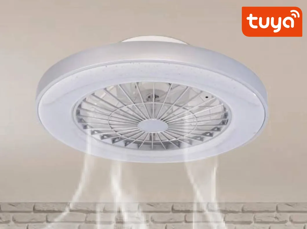 Smart Home Decoration LED Fan Lamp 2