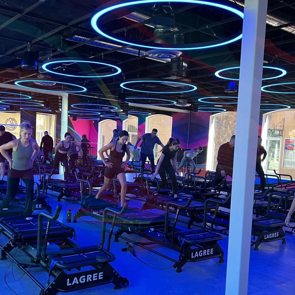 Profile Curved RGB Colorful Circular LED Chandelier Pendant Light