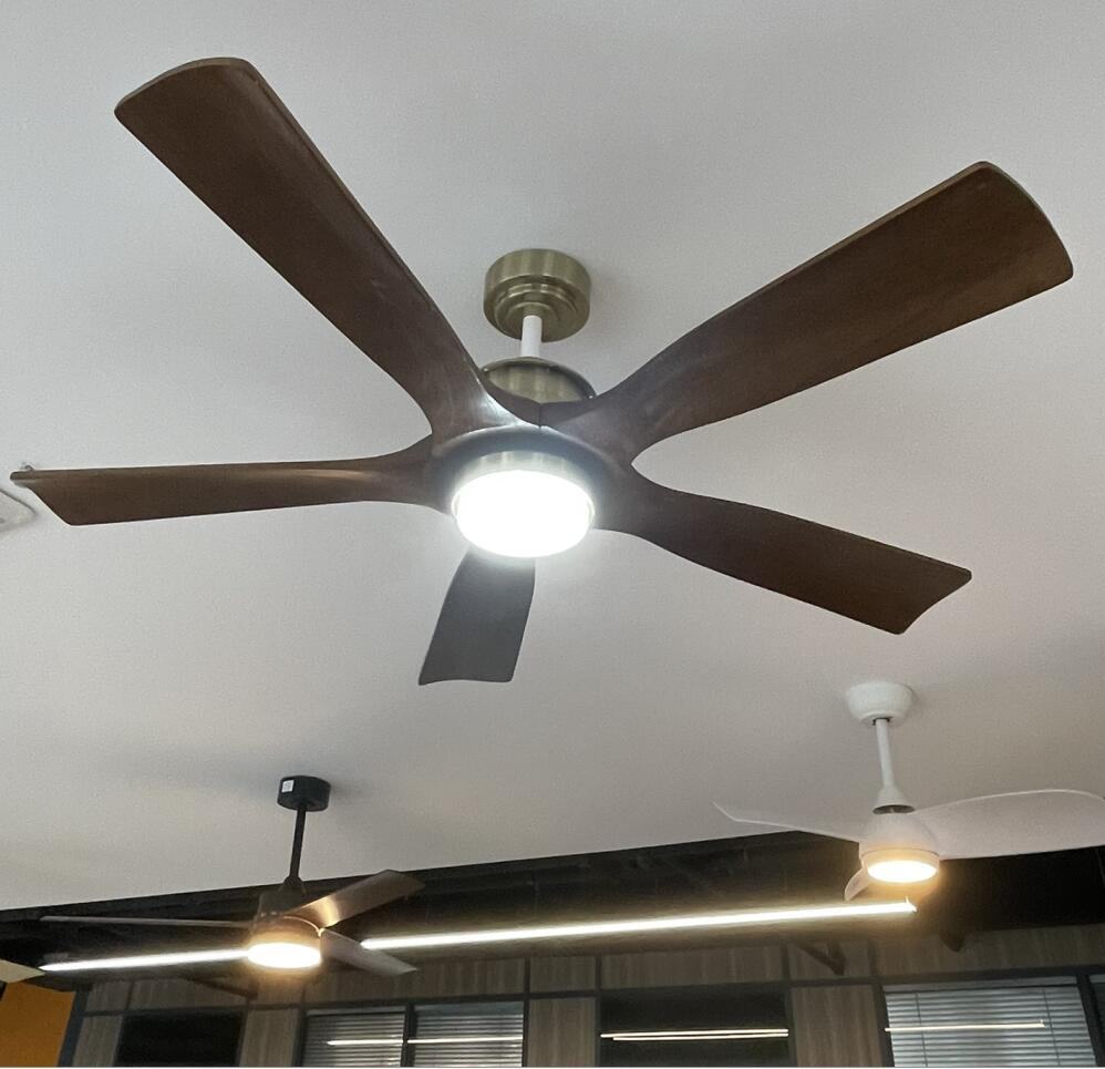 220V Modern Electric Fan Light CCT &amp; Dimmable 48inch 52inch Ceiling Fan Light For Balcony Living Cooling &amp; Night Lighting