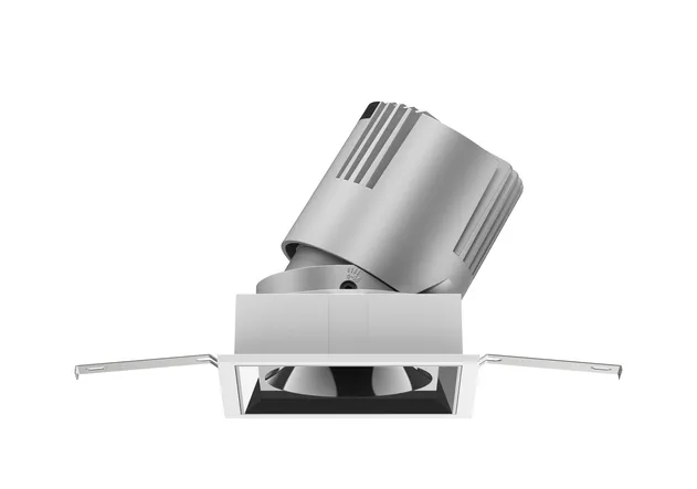 Dual Head LED Downlight
