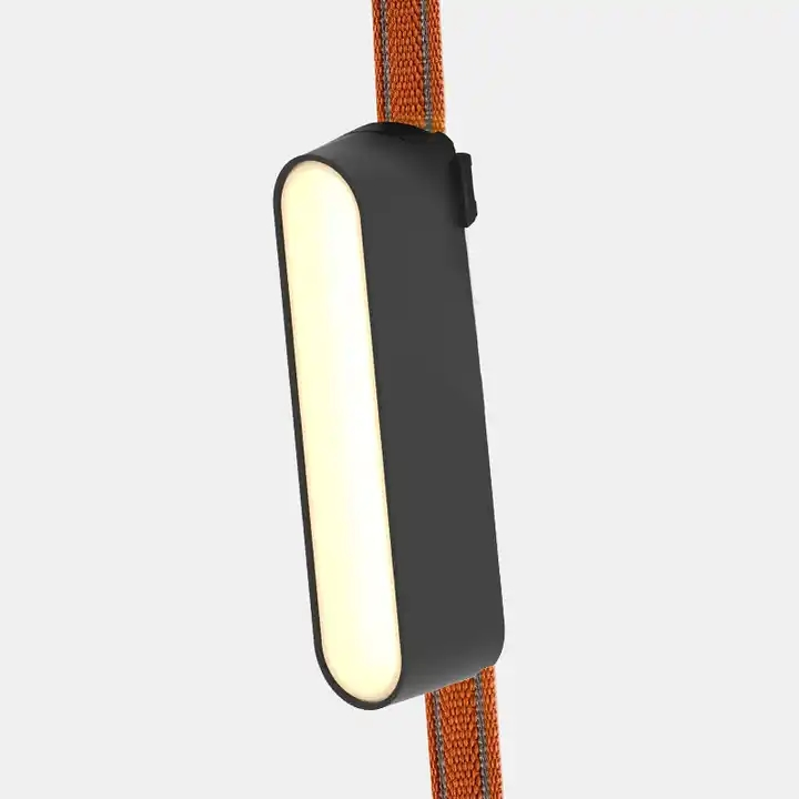 Modern Smart Woven Belt Pendant Light for Home Decor