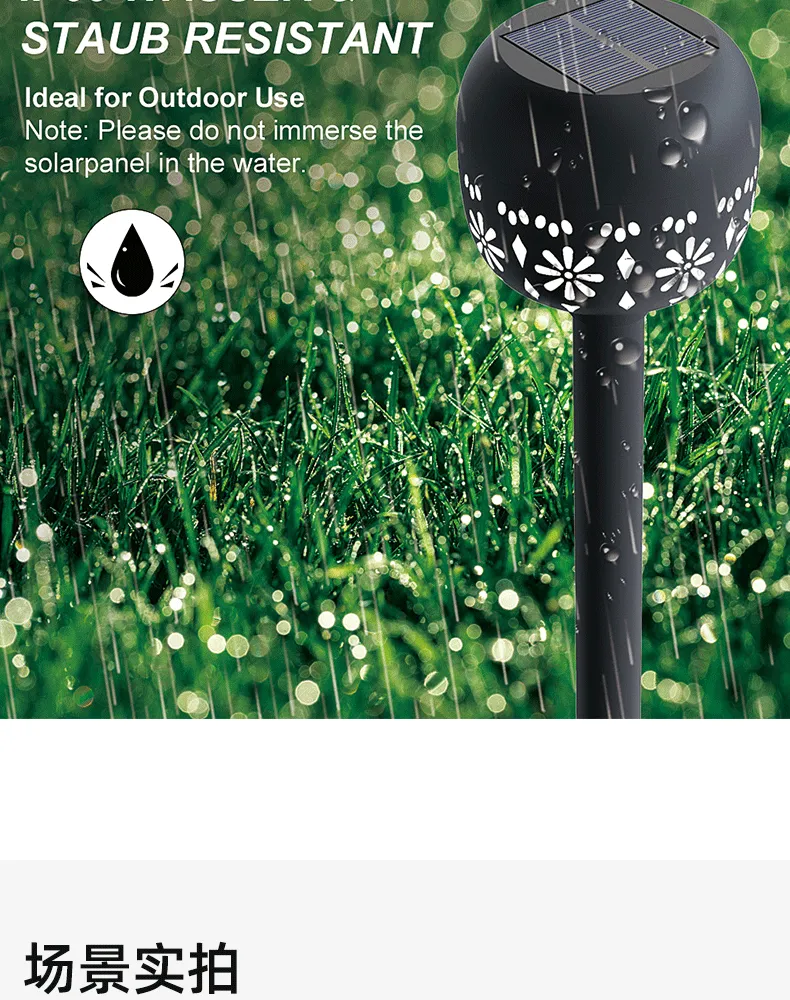 Solar Flame Light Application 3