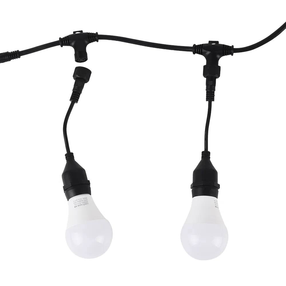 String Light Detail 2