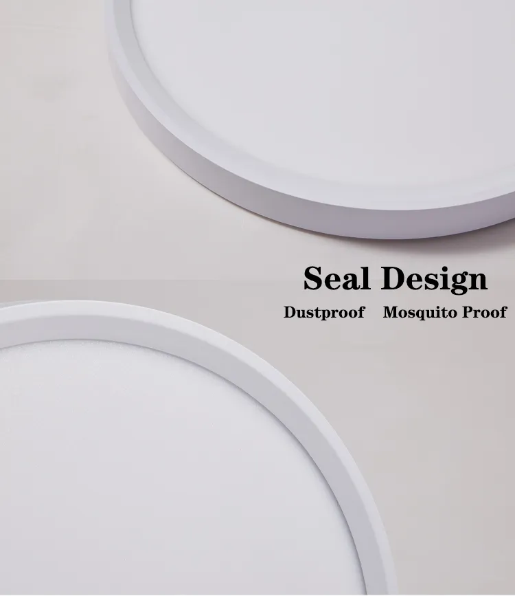 Ceiling Light Detail 1