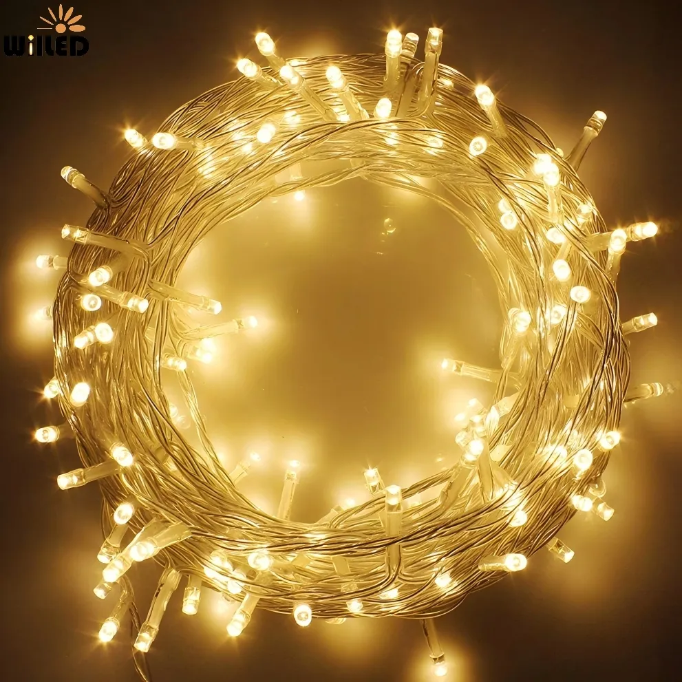 LED String Light 1