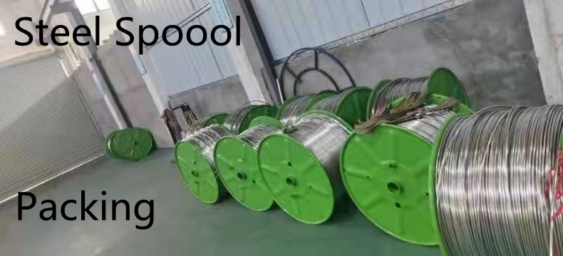 stainless steel coiled tube (3)
