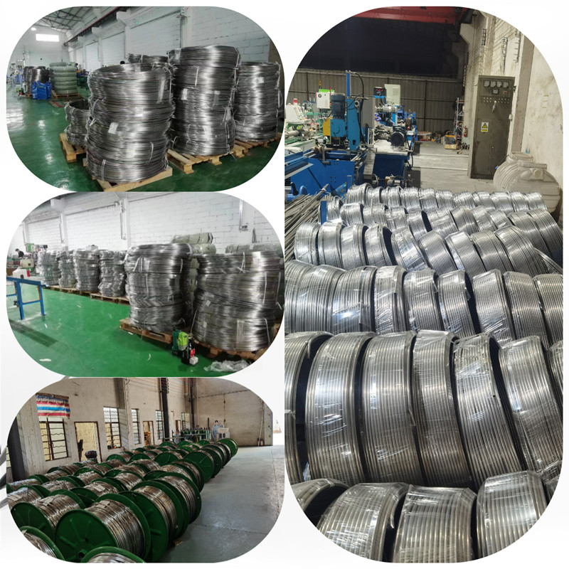 Stainless Steel Coil Pipe